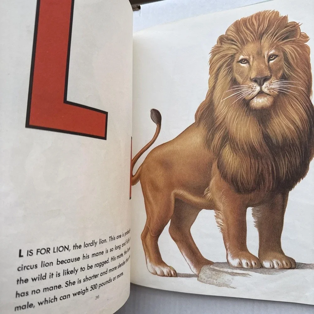 Vintage‎ First ABC: An Educational Picture Book Hardcover XL 9.5